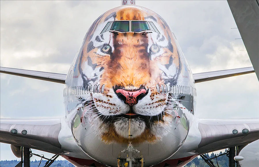 Морда тигра на носу самолёта Боинг-747-400 авиакомпании "Россия". Фото: Марина Лысцева.